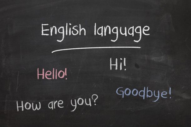 Language Policy